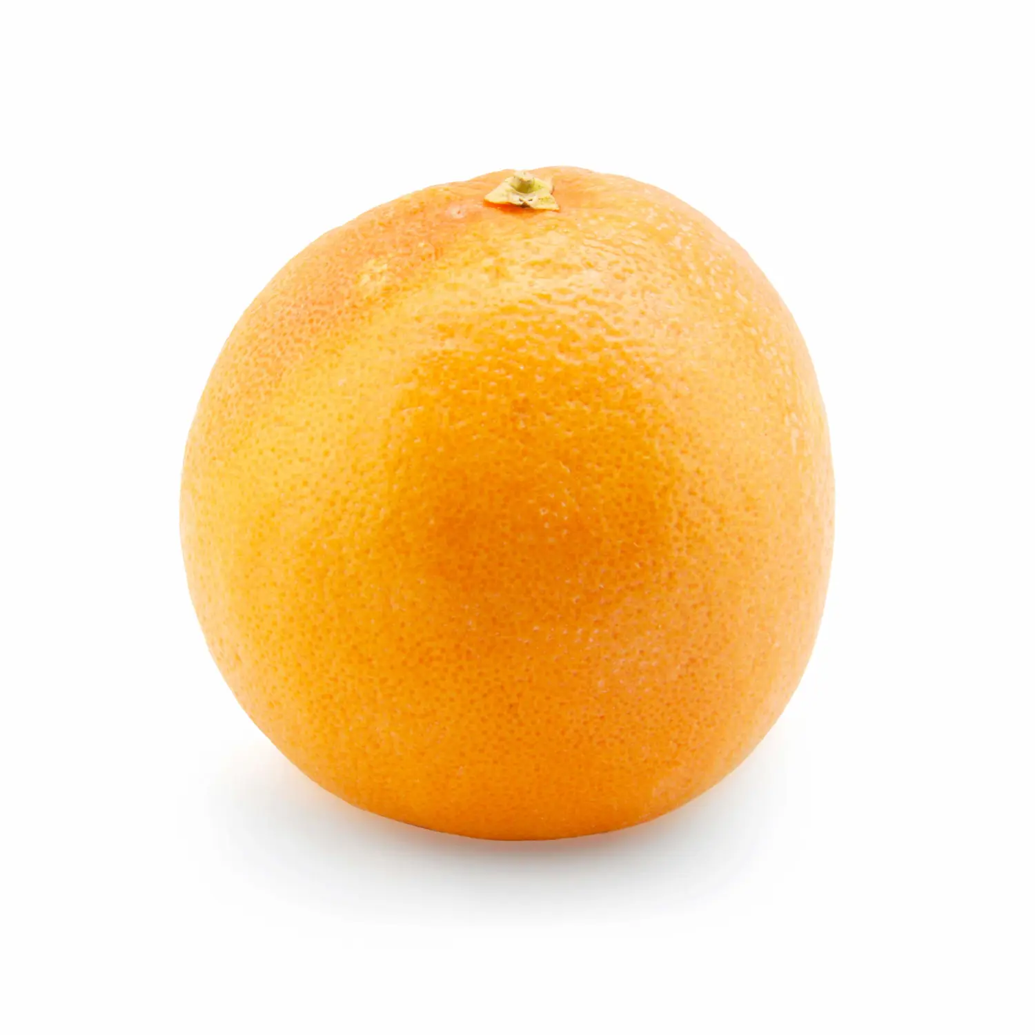 Grapefruit Star Conventional, 1 Each