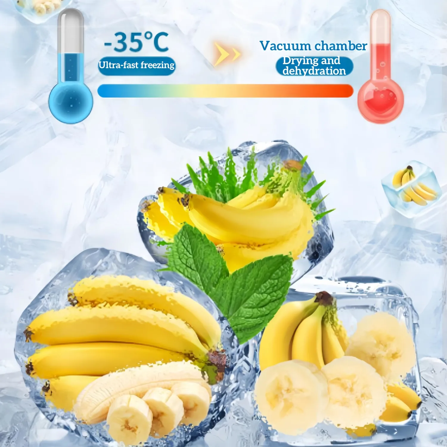 Freeze-Dried Banana Slices | Pure Fruit Snack | Crunchy Travel Essentials | Gluten-Free & Wholesome | Resealable Jar for Pantry Storage | Long-Lasting Bulk Snacking (170 g)