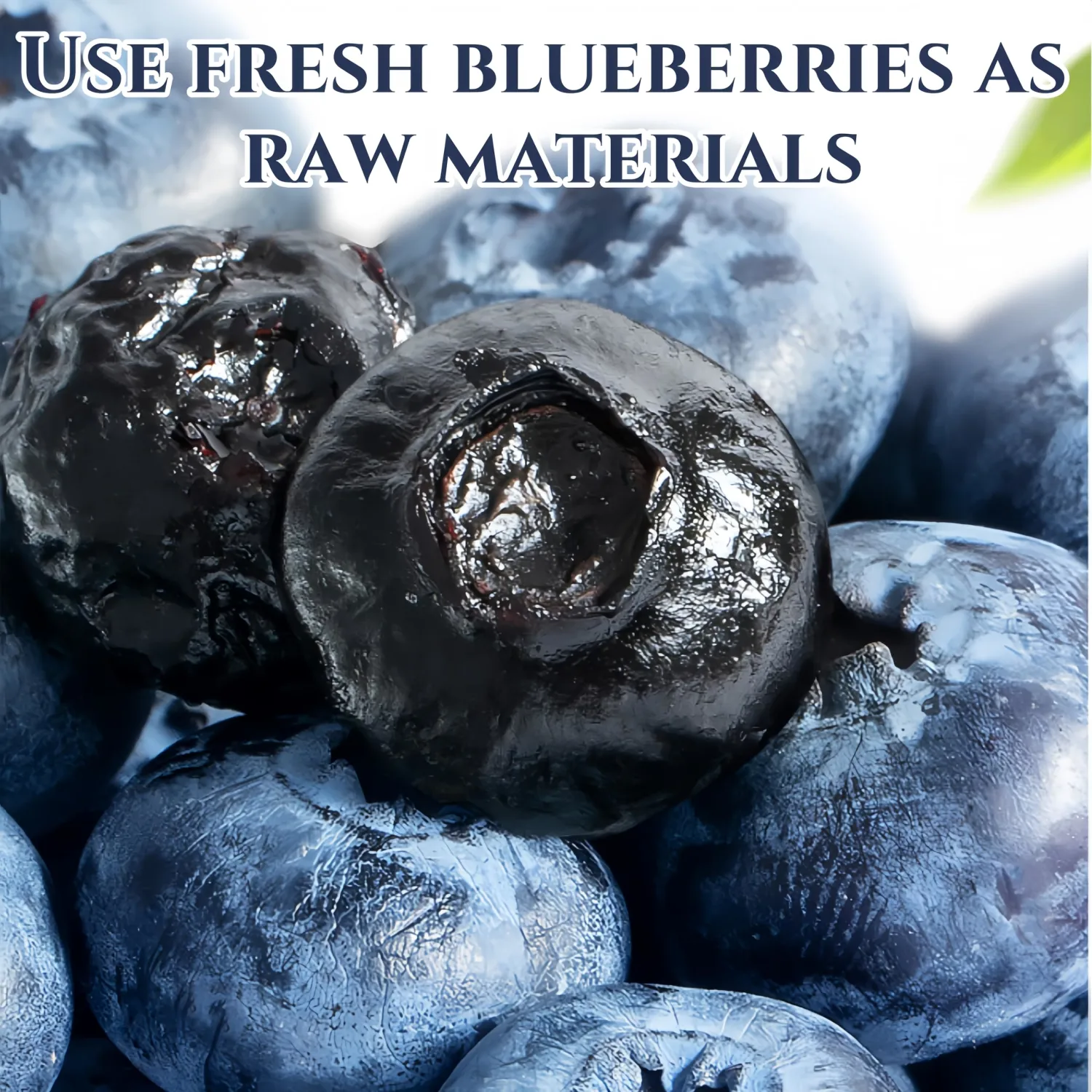 Dehydrated Dried Blueberries | Wholesome Fruit Snacks | No Added Sweeteners & Plant-Based | Resealable Jar | Ideal for Outdoor Activities, Baking & Lunches | Diet-Friendly (200 g)