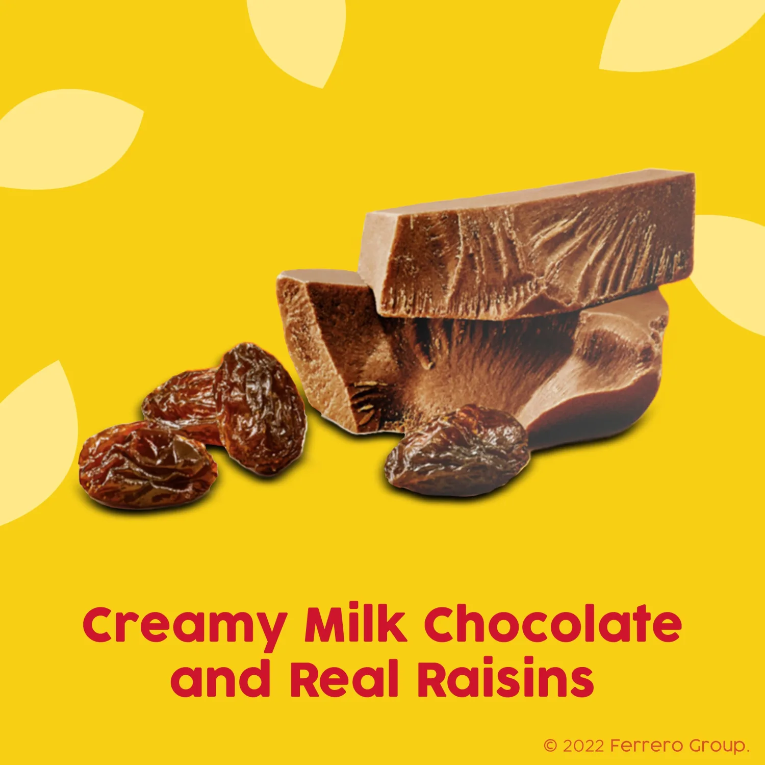 Raisinets, Milk Chocolate Covered California Raisins, Resealable Bag, 8.0 oz