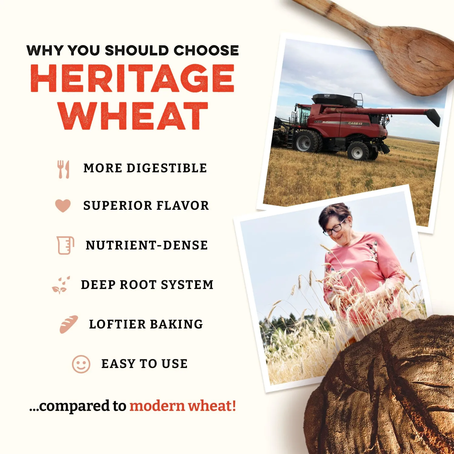 Sunrise Flour Mill Heritage Whole Wheat Bread Blend - 2 lb | USDA Organic All Purpose Flour Unbleached - Non-GMO, Kosher, Glyphosate Free, Ancient Grains, Bread Flour Organic.