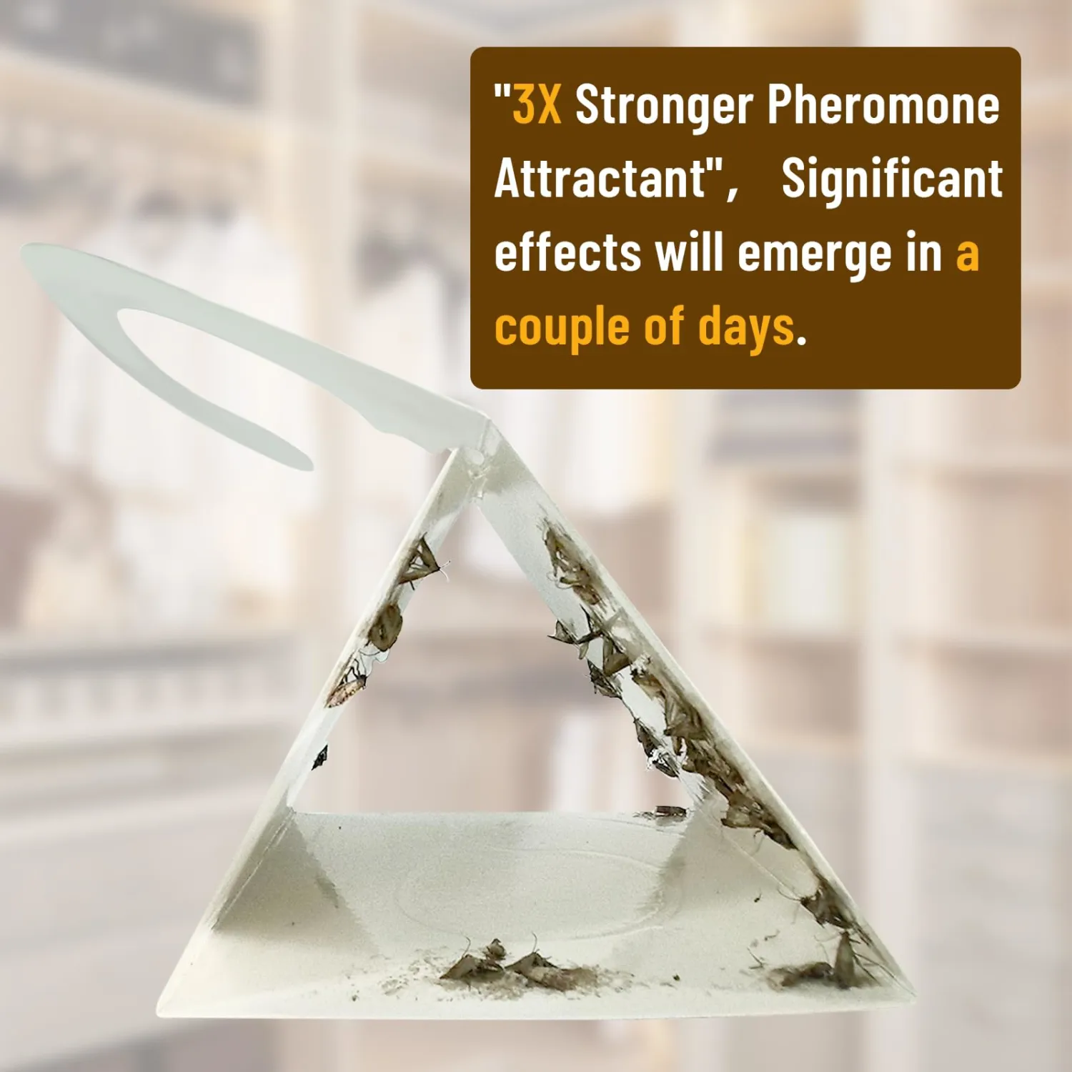 Clothing Moth Trap with Pheromone Attractant 8 Pack, Easy to use Clothes Moth Treatment, Odorless/Non-Toxic Strong Sticky Strips for Closet and Carpet