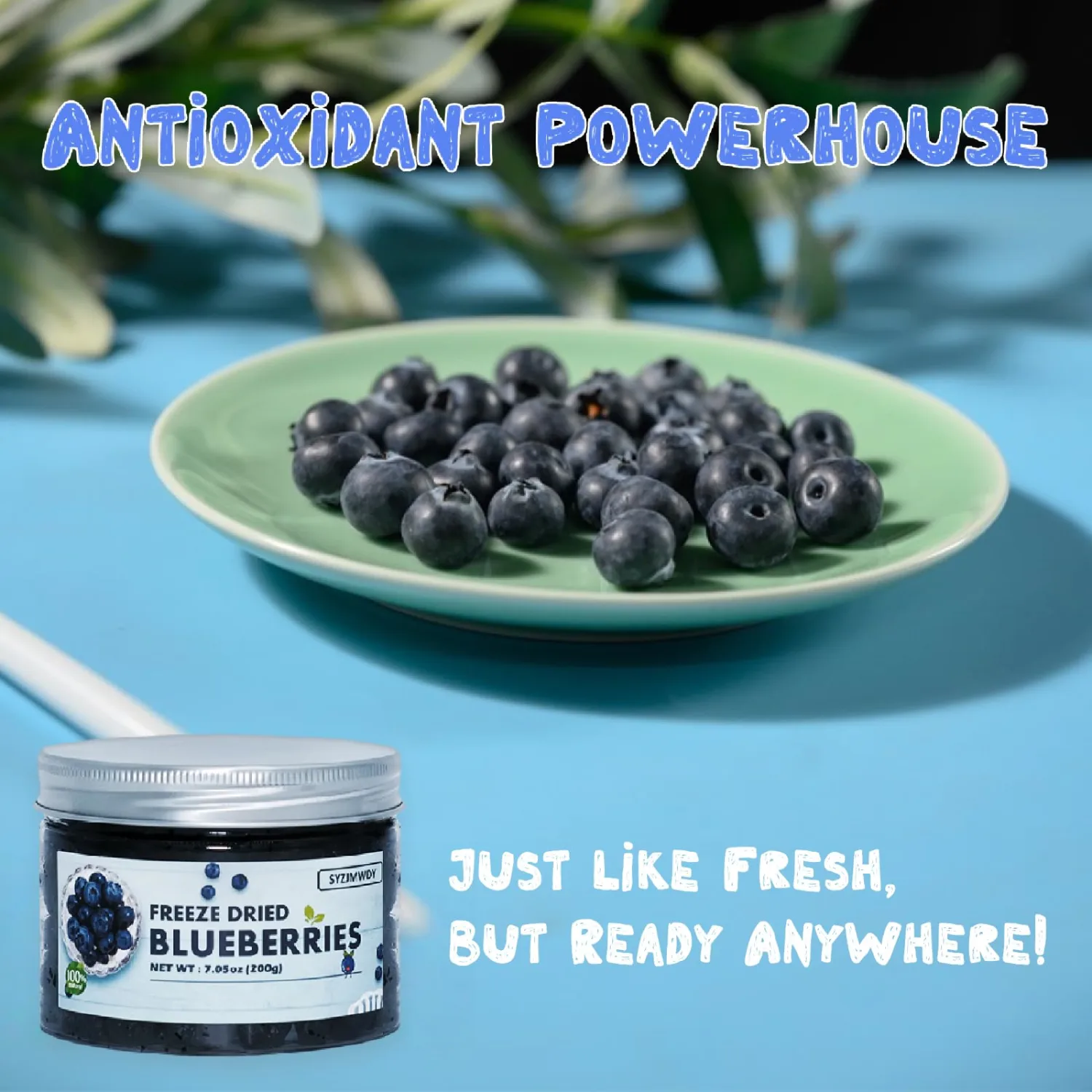 Premium Freeze-Dried Blueberries, Canned Instant Dehydrated Fruit, Gluten-Free No Sugar Added Whole Fruit For Baking Snacking Backpacking And Camping Meals(200g/7.05oz)