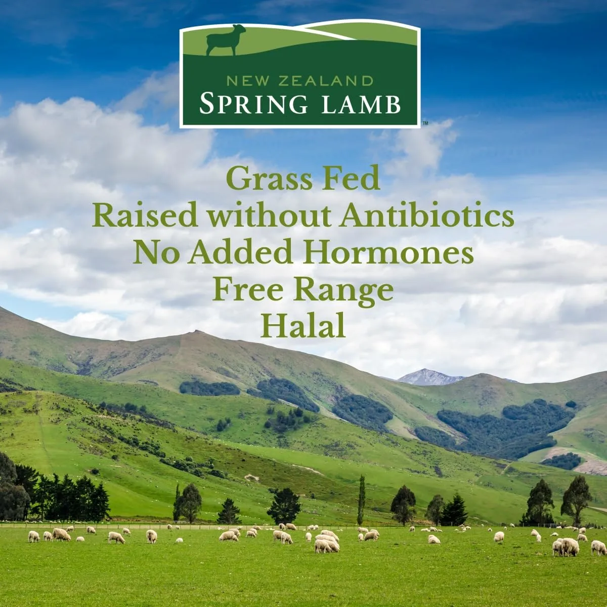 Fresh New Zealand Lamb Shank, 1.5 lb