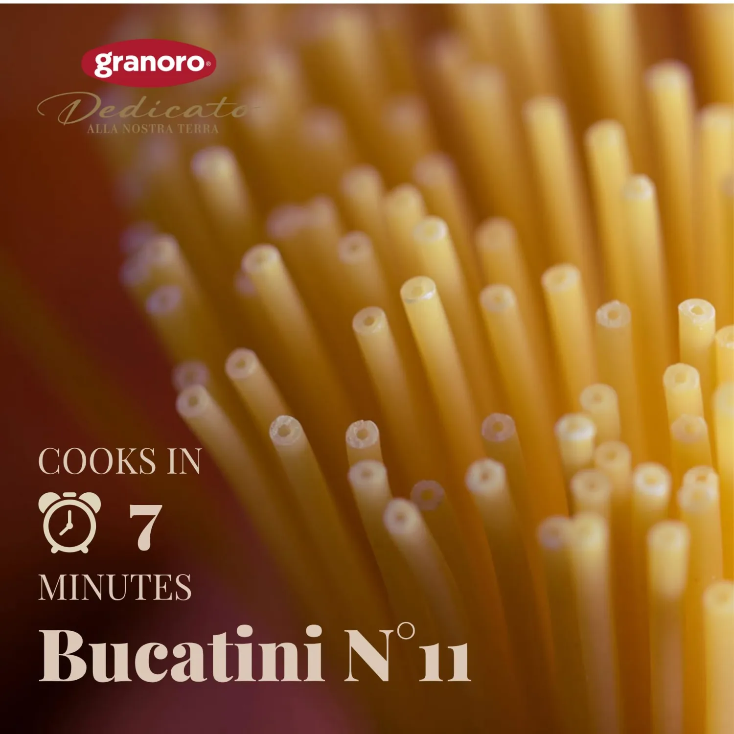 Granoro Dedicato Bucatini #11-100% Apulian Durum-Wheat Pasta, Bronze-Drawn, Non-GMO, Vegan, 1 lb Bags (Pack of 2)