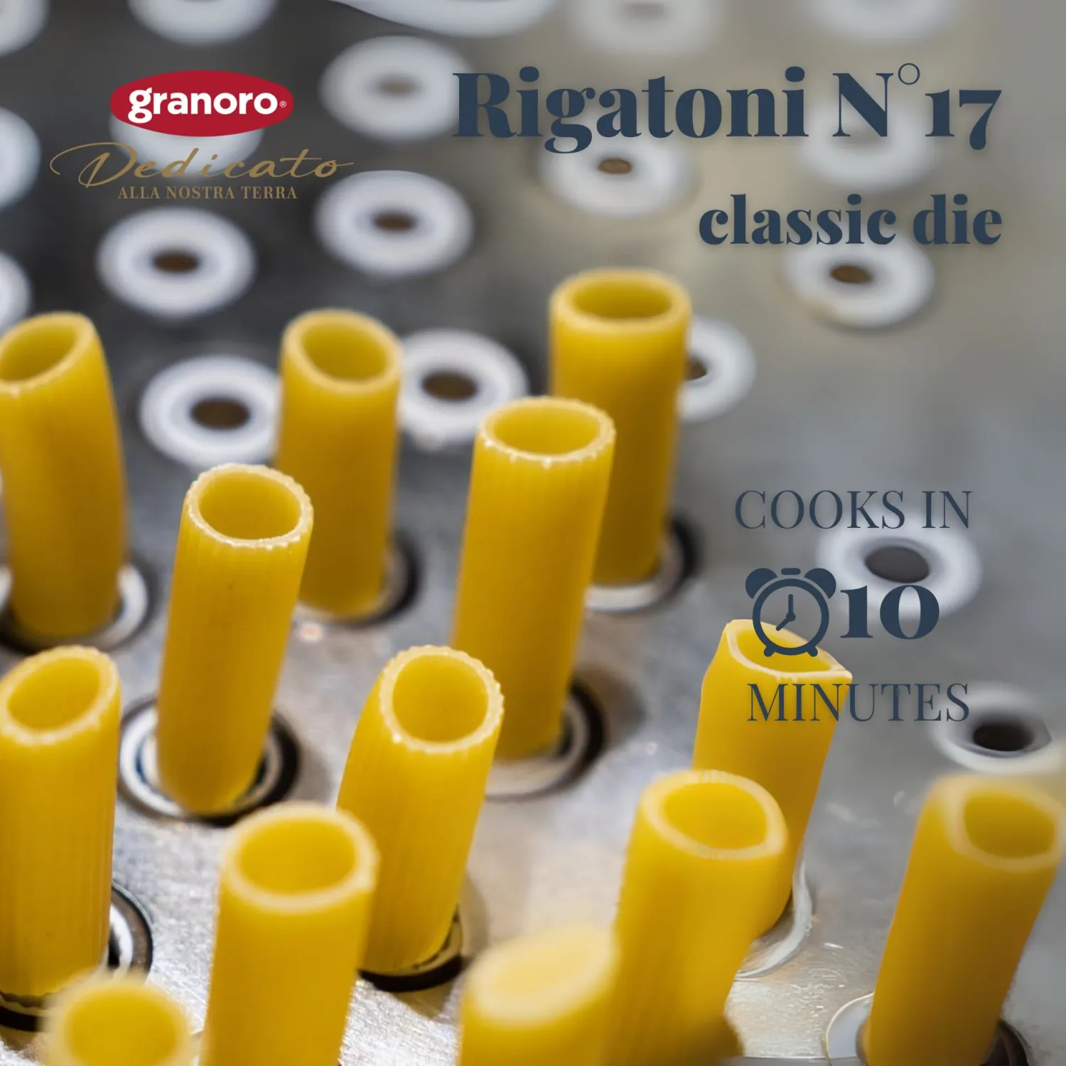 Granoro Dedicato Rigatoni #17-100% Apulian Durum-Wheat Pasta, Bronze-Drawn, Non-GMO, Vegan, 1 lb Bags (Pack of 2)