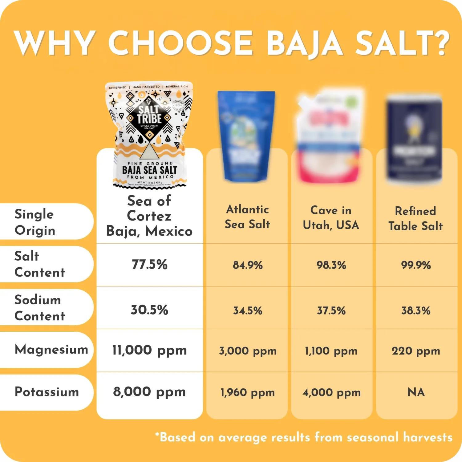 Salt Tribe™ | Baja Sea Salt | Fine Ground | Mineral Rich | 90+ Trace Minerals | Hydration Support | Sal Organica | Low Sodium | Organic & Unrefined | 15 oz | Single Origin Mexico | 425+ Servings