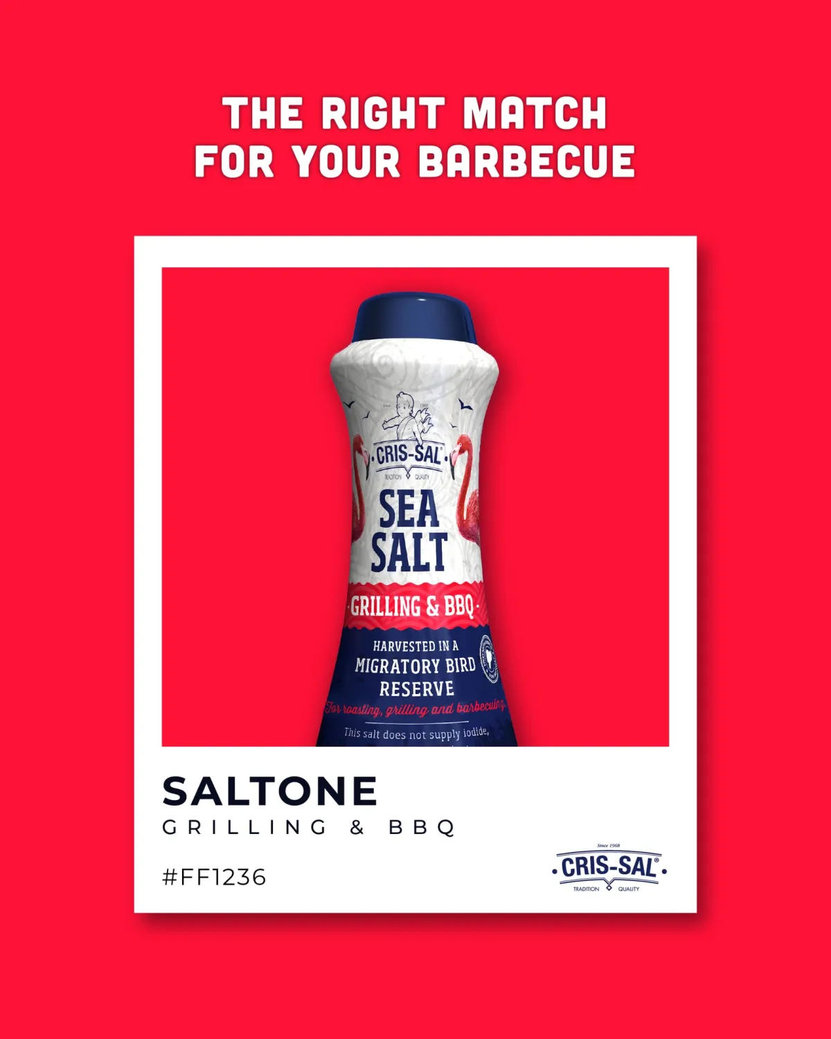 Cris-Sal Gourmet Grilling Sea Salt, Coarse Diamond Crystal Full Flavor Natural Grain Salt, Great for Cooking, Baking, Table Seasoning Recipes, Finishing and More, Pantry Friendly (17.63 Oz)