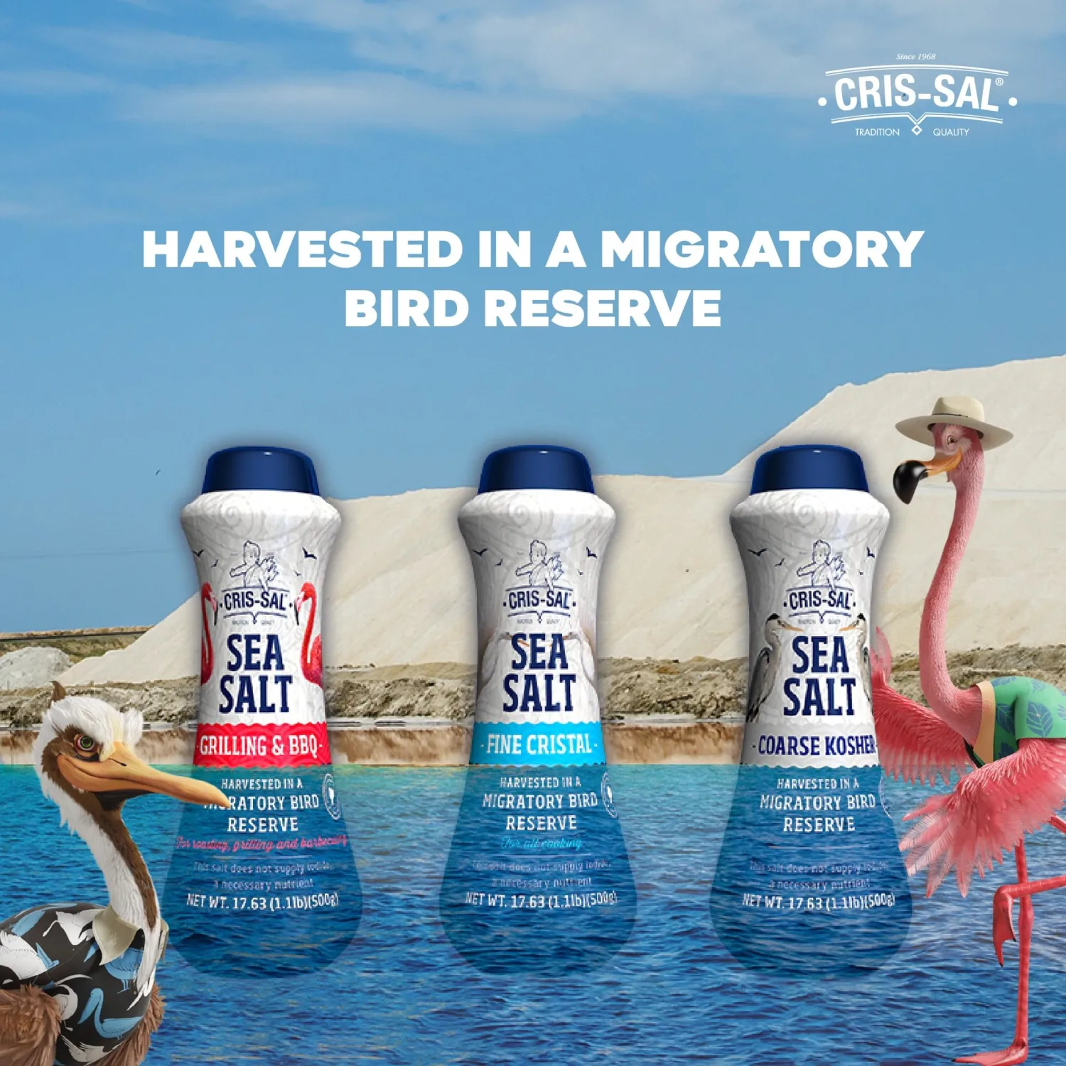 Cris-Sal Gourmet Grilling Sea Salt, Coarse Diamond Crystal Full Flavor Natural Grain Salt, Great for Cooking, Baking, Table Seasoning Recipes, Finishing and More, Pantry Friendly (17.63 Oz)