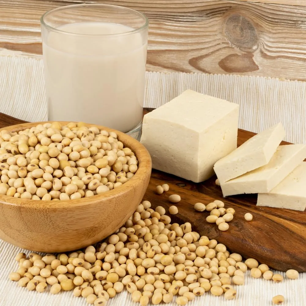 Whole Soy Beans,Dried Yellow Soybeans Dry Great for Making Soy Milk and Tofu, 黄豆 Dau Nanh 12 oz (340 g)