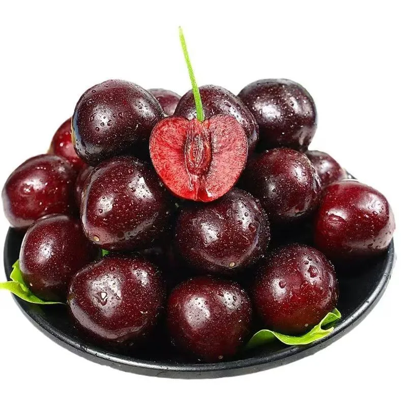 Cherry Seeds Fruit Tree Seeds Cherry Seeds