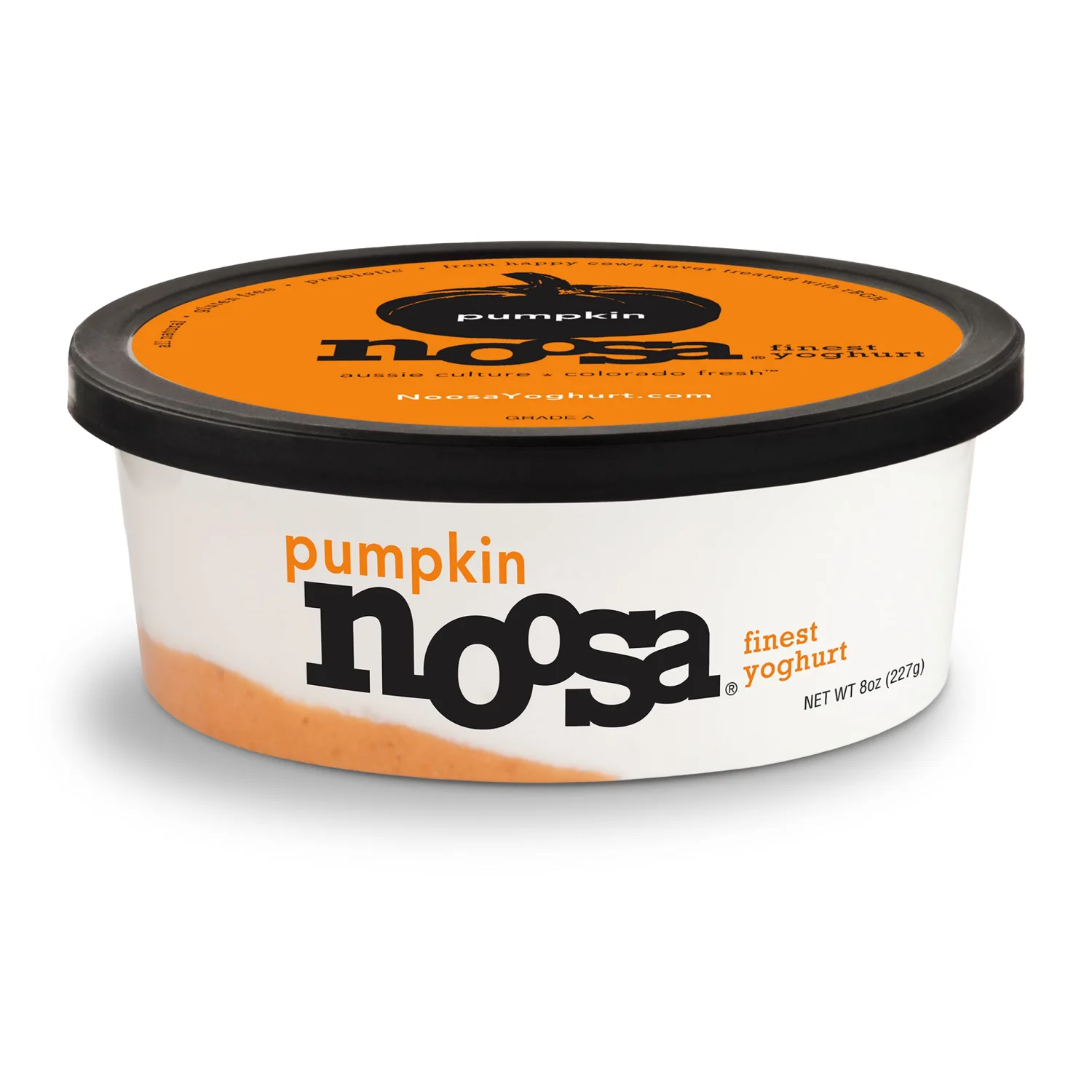 noosa Yoghurt, Pumpkin, 8oz, Probiotic, Whole Milk Yogurt, Real Pumpkin, No Artificial Ingredients, Gluten Free