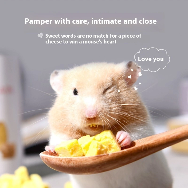 Hamster Snack Cheese Grain Molar Pet Lying Hand Food