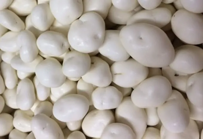 Bayside Candy Yogurt Covered Raisins | Yogurt Raisins | Yogurt Coated Raisins (1LB)