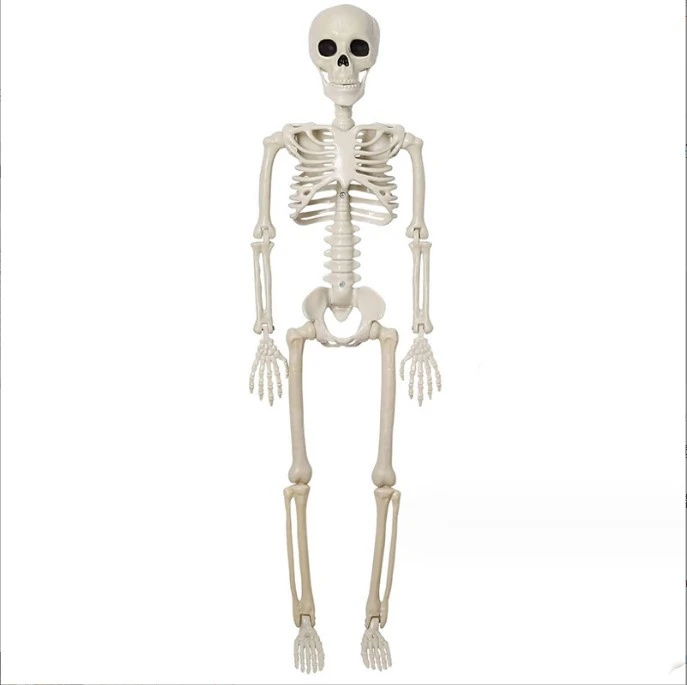 New Skull Joint Adjustable Halloween Horror Ornaments Human Skeleton 40