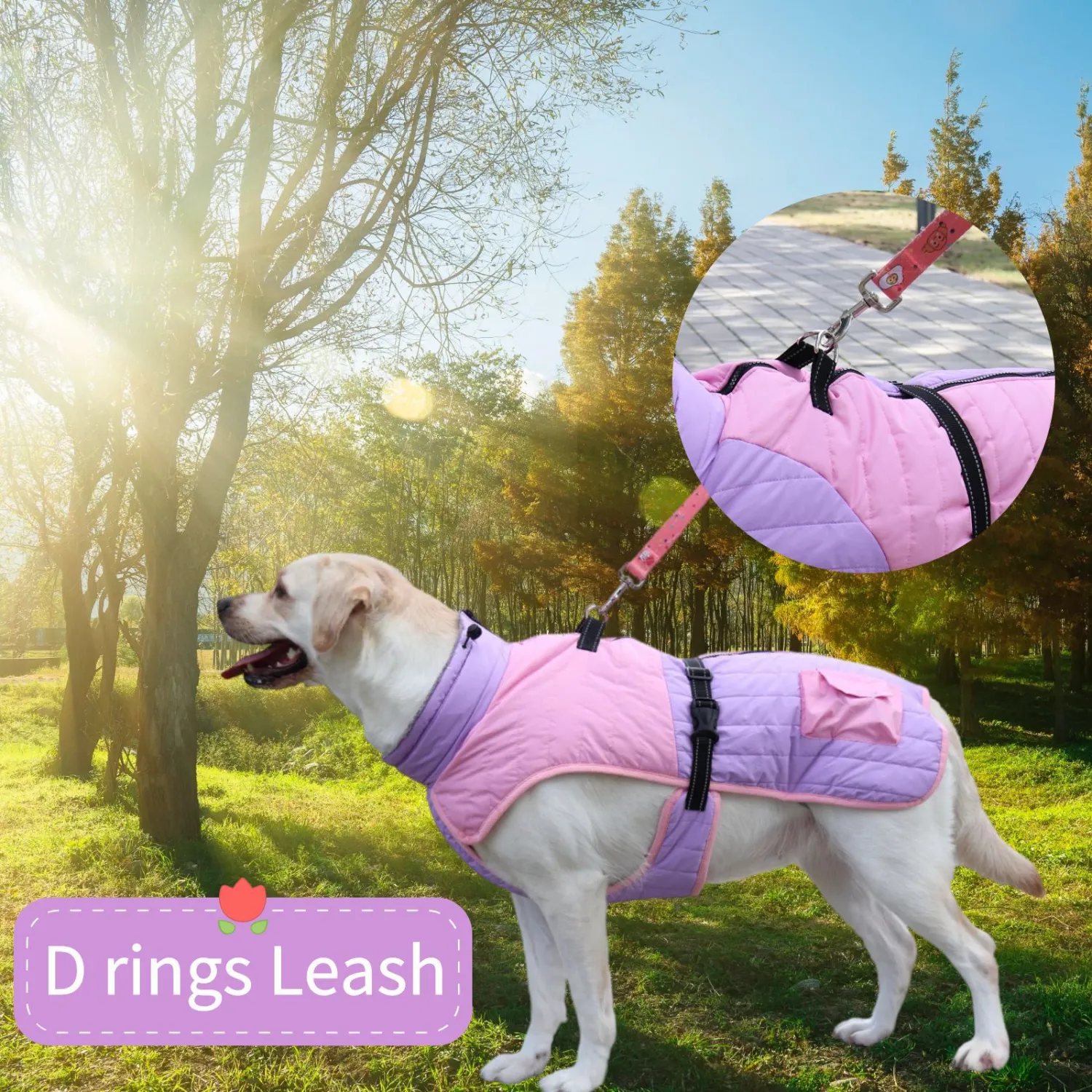 Autumn And Winter Thick Warm Dog Coat