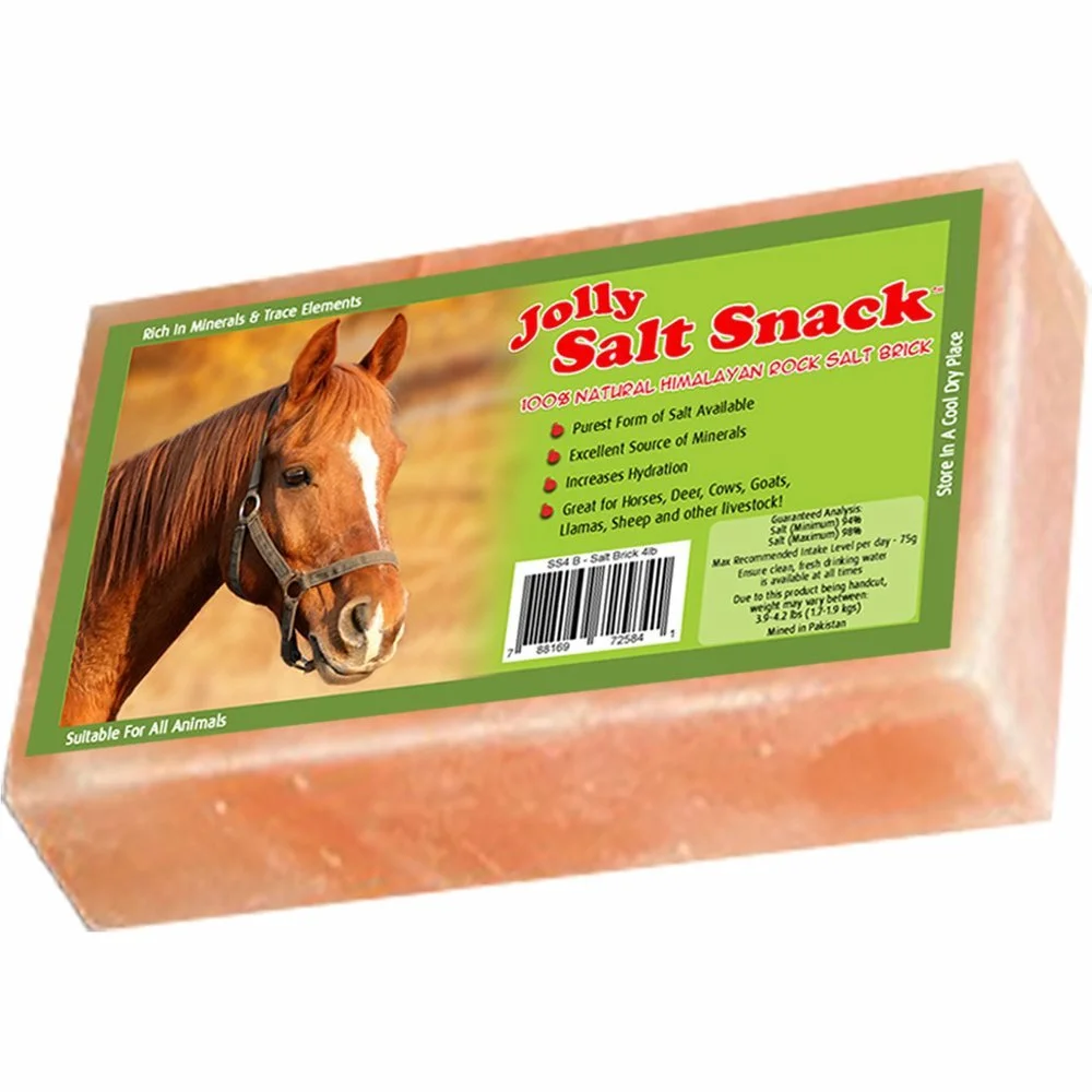 Horsemen's Pride 100% Himalayan Salt Brick, 4 Pounds