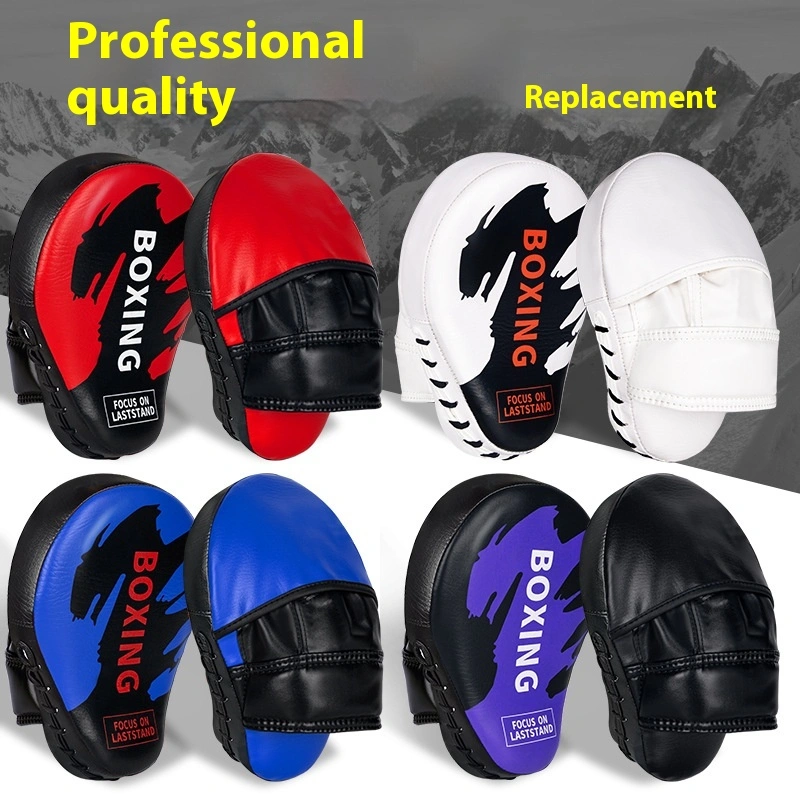 Professional Boxing Fight Sand A Foot Target