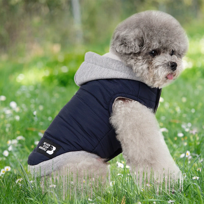 Assorted Colors Fleece Windproof Cotton-padded Jacket Teddy Supplies