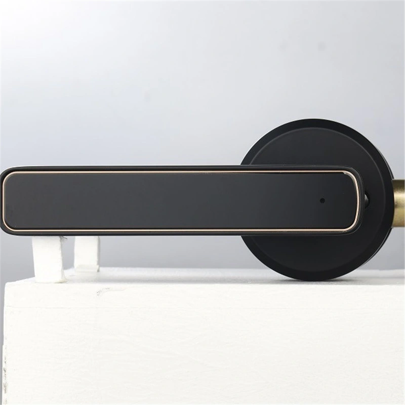 Wooden Door Fingerprint Lock Spherical Smart Lock Bedroom Door Graffiti Bluetooth