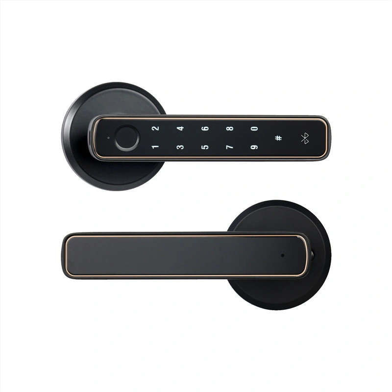 Wooden Door Fingerprint Lock Spherical Smart Lock Bedroom Door Graffiti Bluetooth