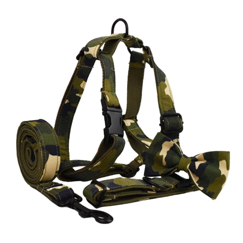 Dog Collar Hand Holding Rope Camouflage