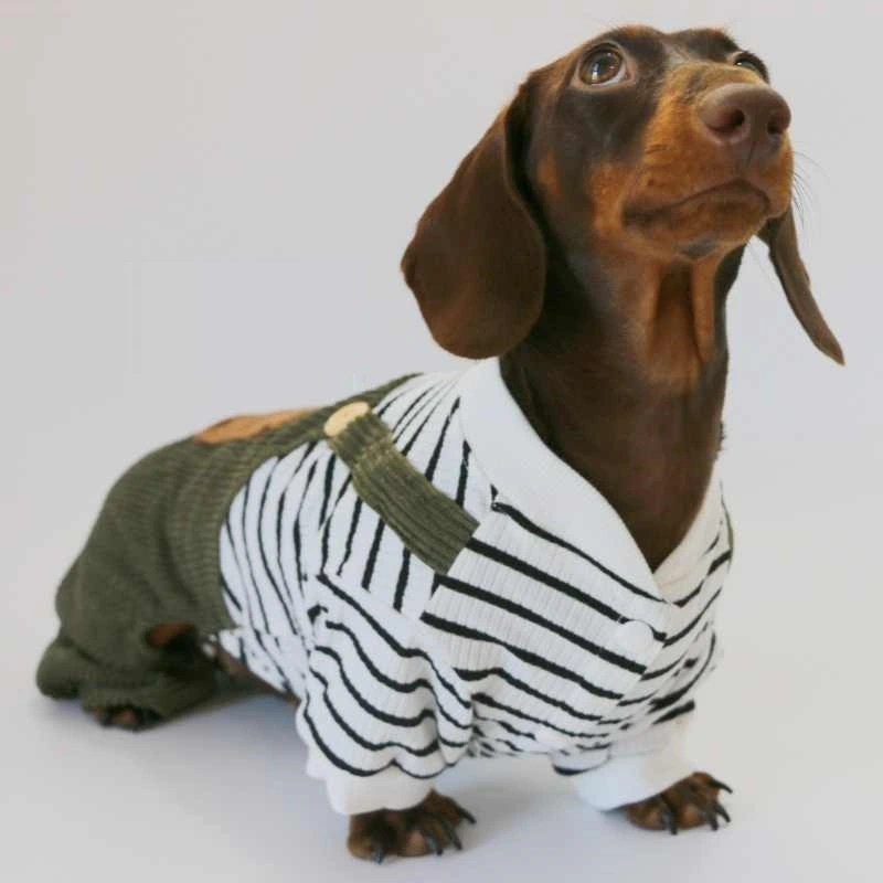 Fake Two Thin Corduroy Four-foot Pants Teddy Sausage Schnauzer York Summer Small Pet Clothes
