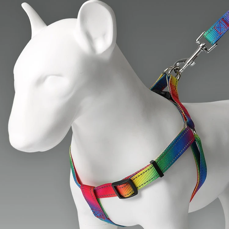 Creative Color Dog Leash Pet Vest