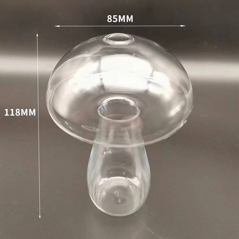 Fashion Creative Decoration Simple Glass Vase