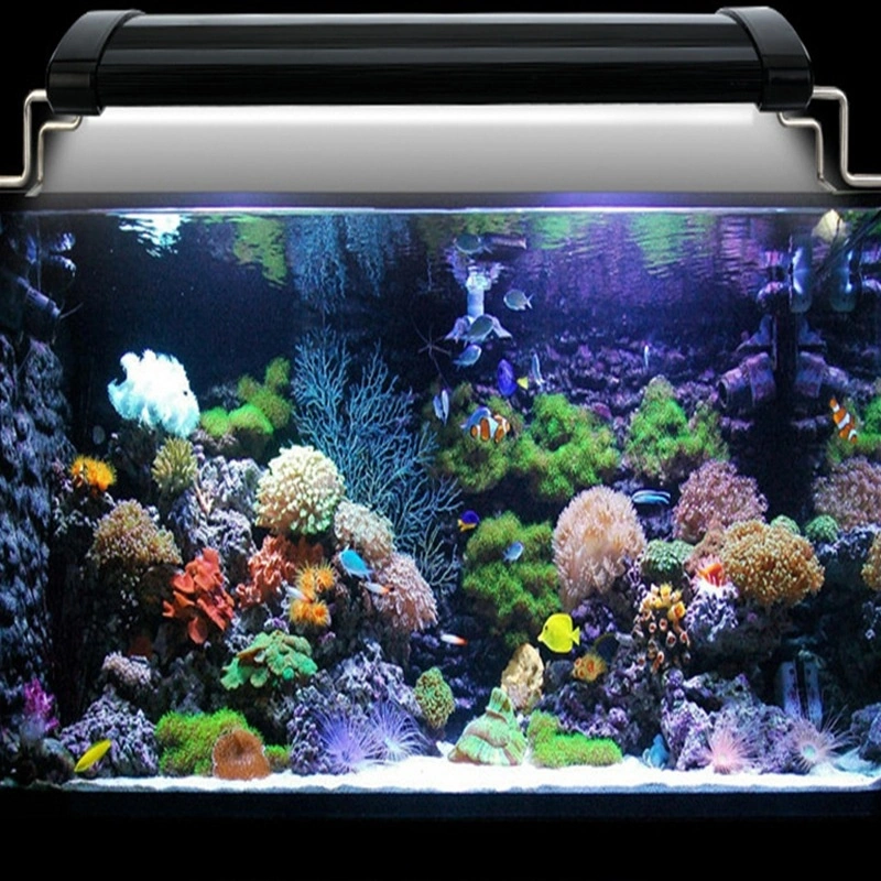 Aquatic Plants Biological Landscape Lamp Aquarium Supplies Fish Tank Bracket