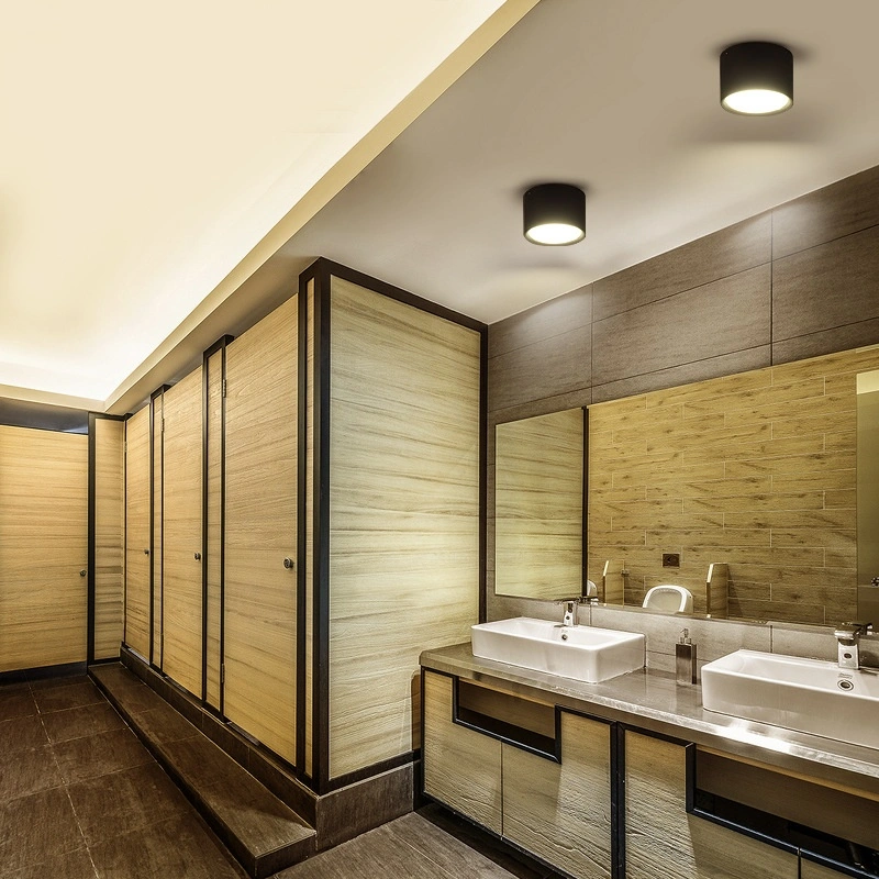 Surface Mounted Downlight Led Aisle Ceiling Lamp