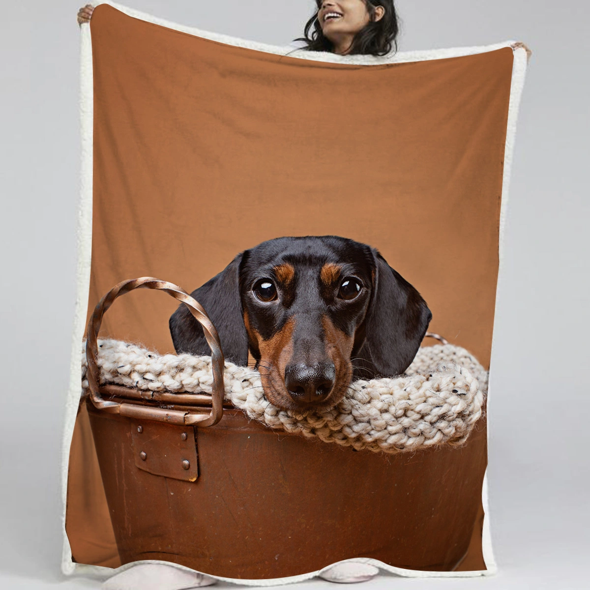 1 Pc Of High Weight Soft And Warm Simple Sausage Dog Themed Lamb Wool Blanket, Versatile Sofa, Good Companion, Office Nap Blanket, Also Suitable For Camping