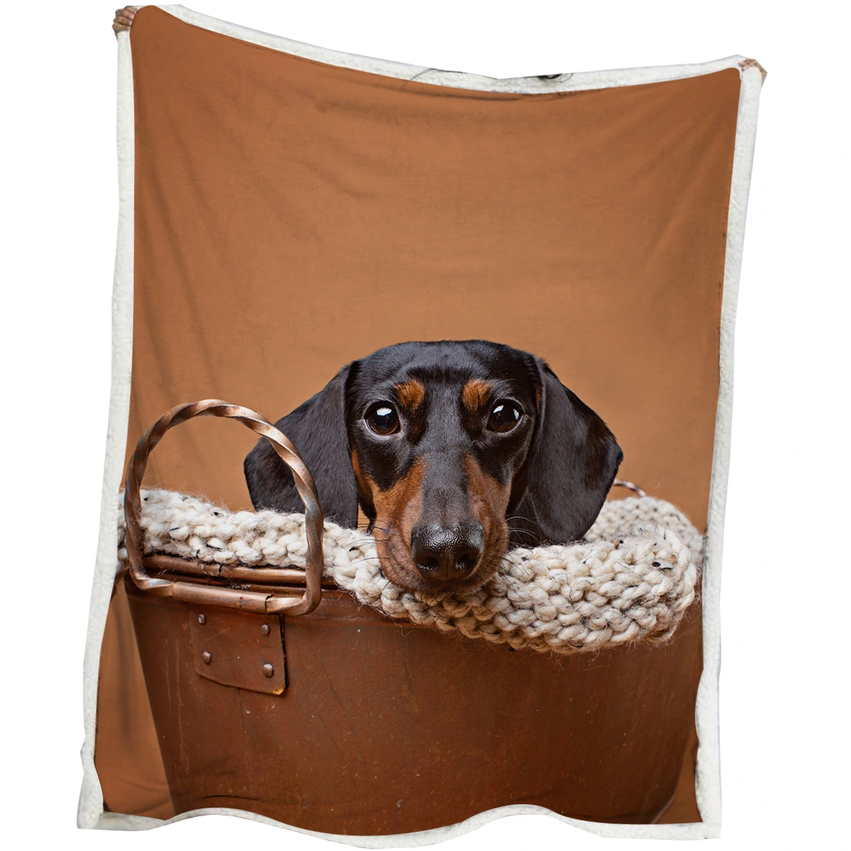 1 Pc Of High Weight Soft And Warm Simple Sausage Dog Themed Lamb Wool Blanket, Versatile Sofa, Good Companion, Office Nap Blanket, Also Suitable For Camping