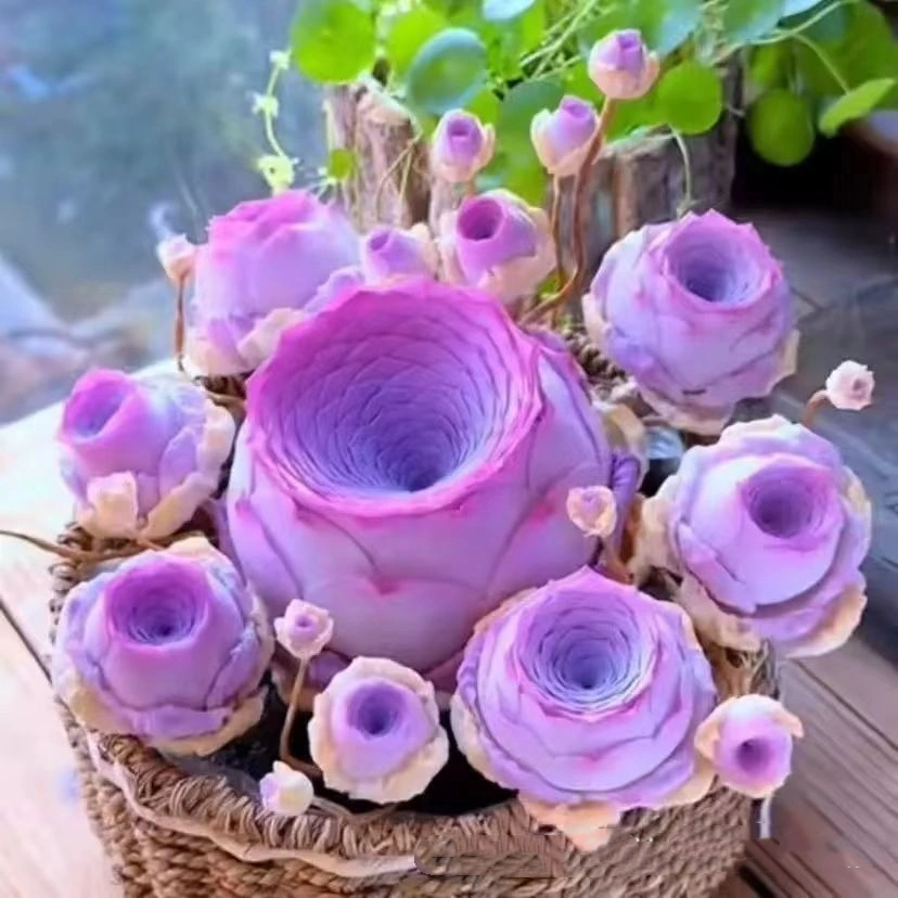Mountain Rose Succulent Seeds Potted Flowers Easy To Feed
