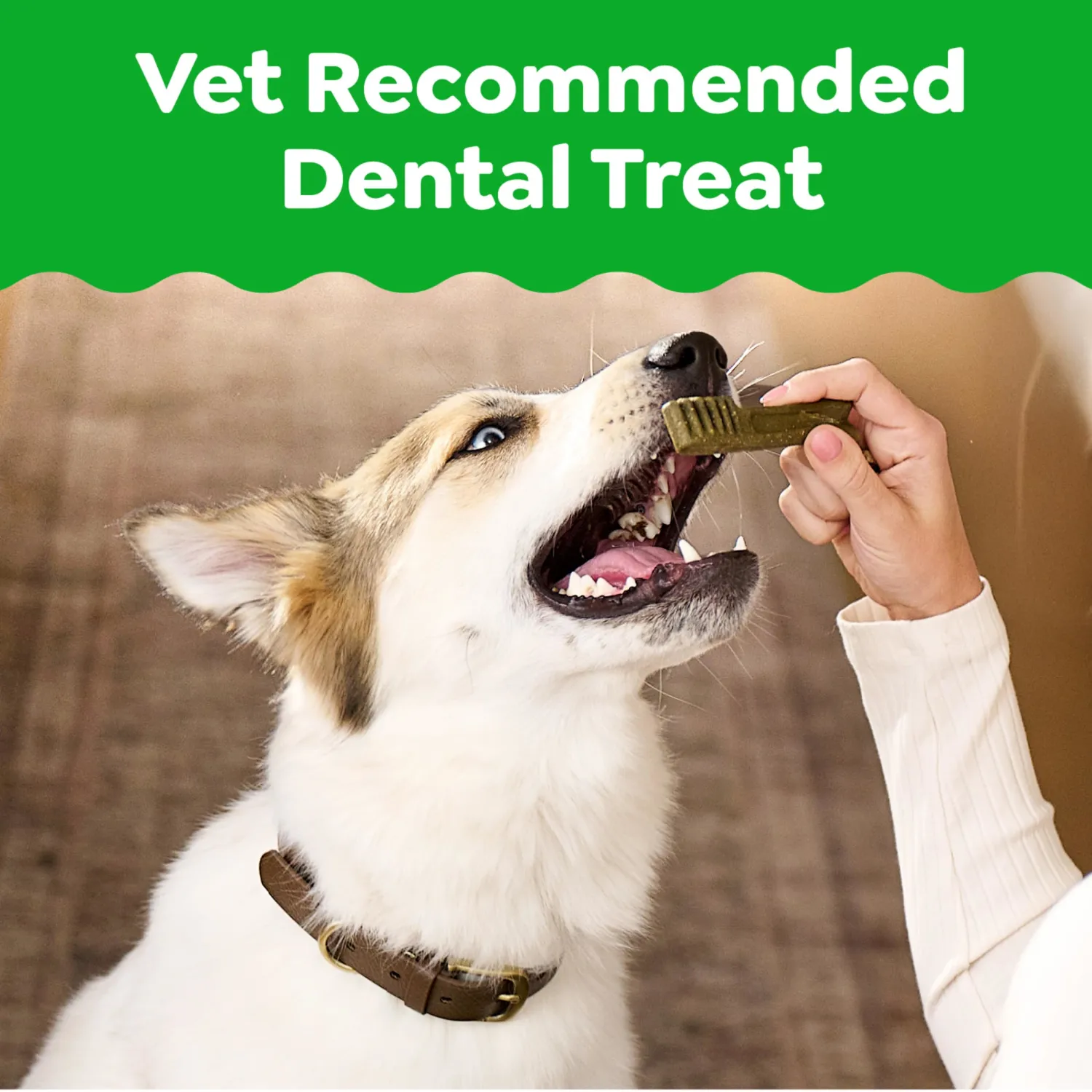 Greenies Veterinarian-Recommended Natural Dental Dog Treats Teenie Size, Original Flavor, 6 oz. Pack, 22 Count