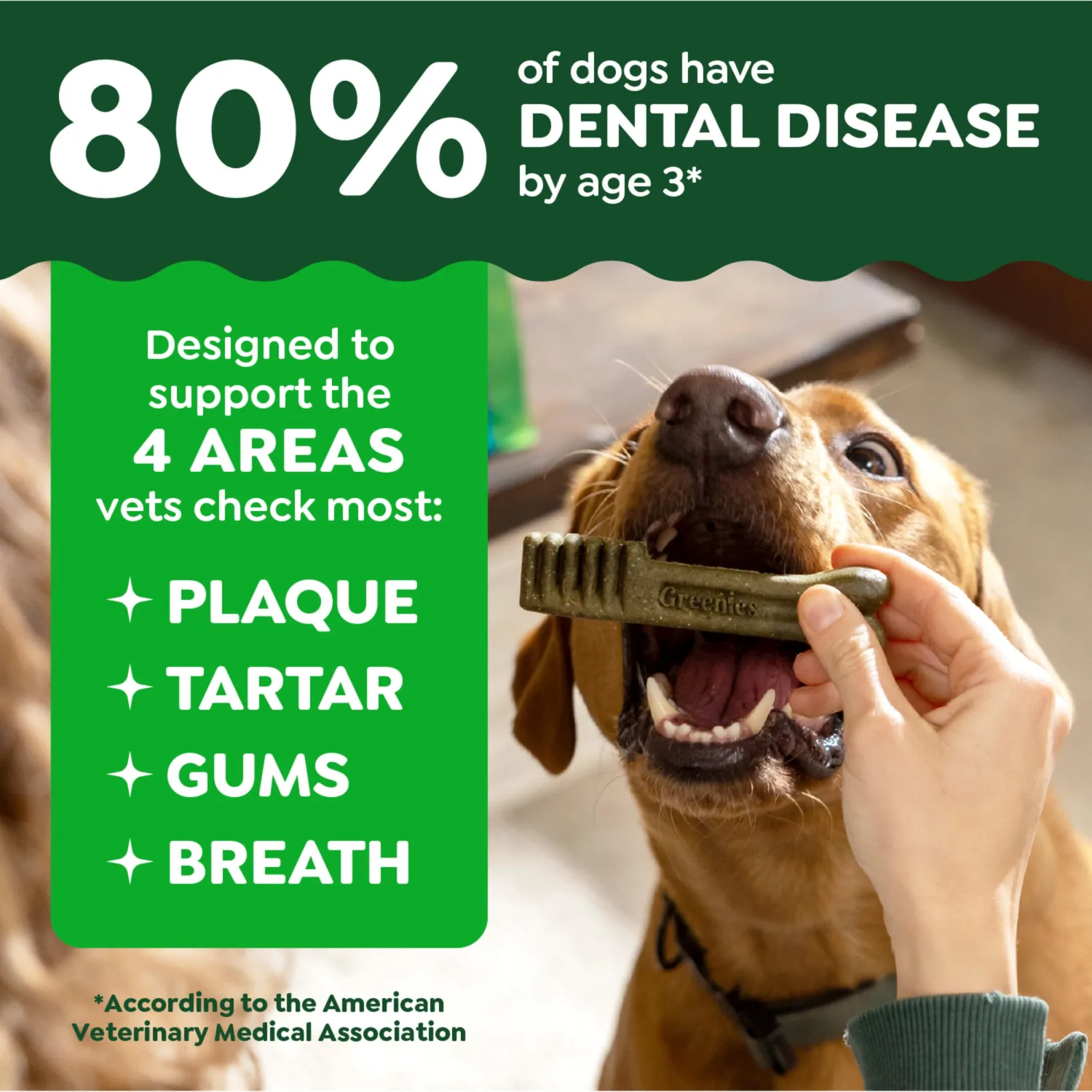 Greenies Veterinarian-Recommended Natural Dental Dog Treats Teenie Size, Original Flavor, 6 oz. Pack, 22 Count