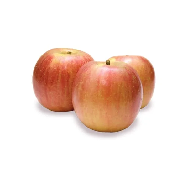 Small Fuji Apple Tote - 1 Each