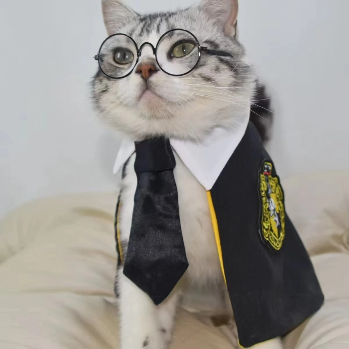 Pet Cat Dog Magic Harry Potter Glasses Small Cloak Robe Shawl College Internet Celebrity