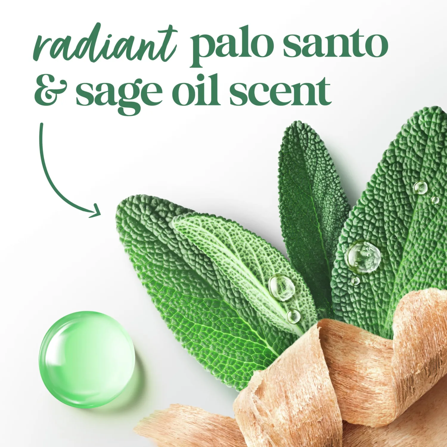 Dove Solid Stick Palo Santo & Sage for 72-Hour Sweat and Odor Protection Alcohol Free 2.6 oz