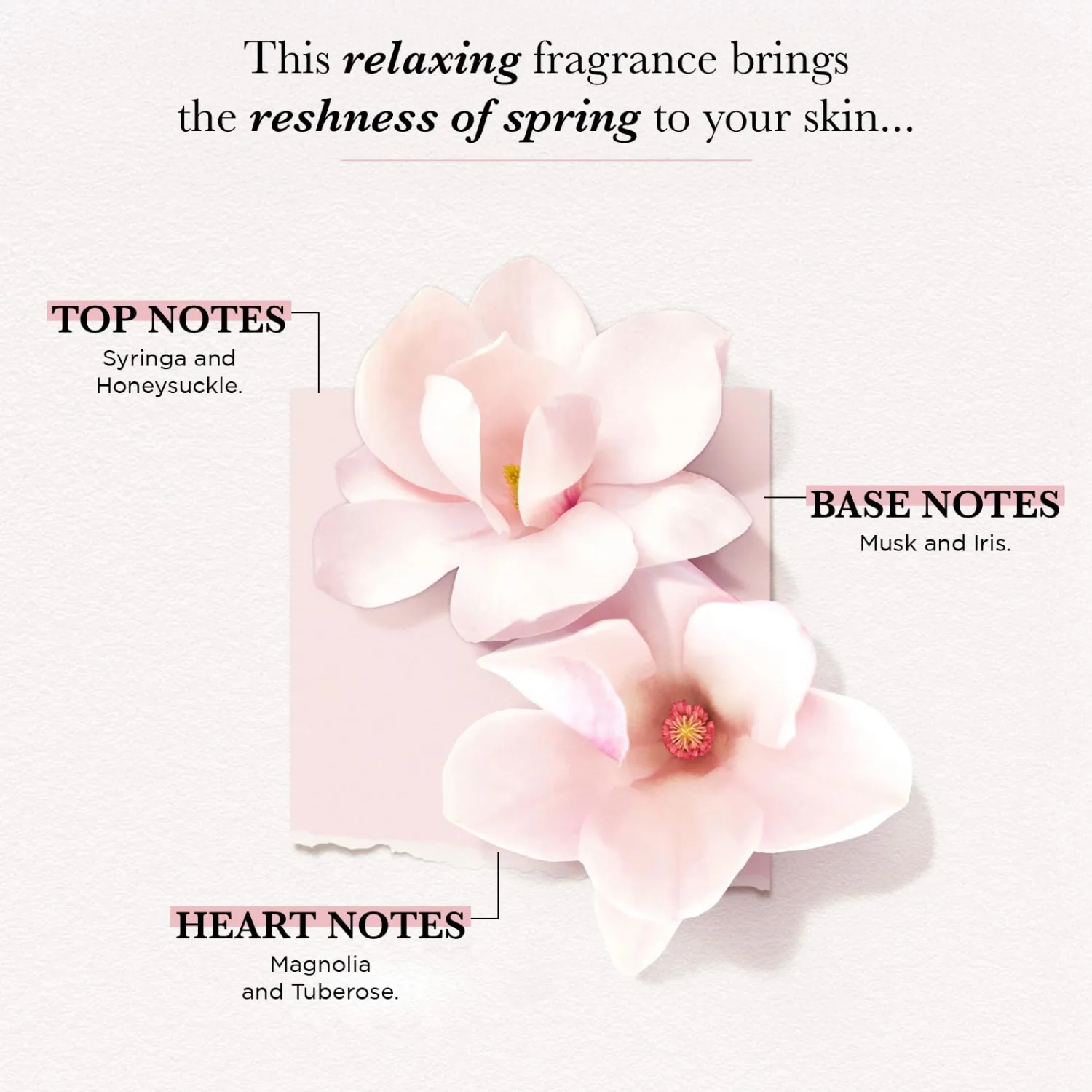 SOLINOTES Magnolia Perfume for Women - Eau De Parfum | Delicate Floral and Soothing Scent - Made in France - Vegan - 0.5 fl.oz