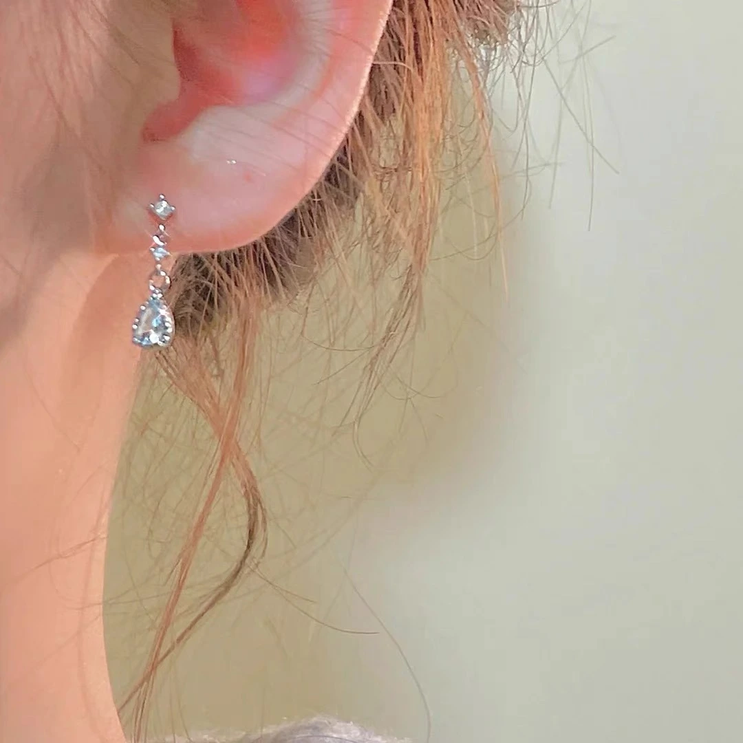 Unique Temperament Inlaid Silver Earrings For Women