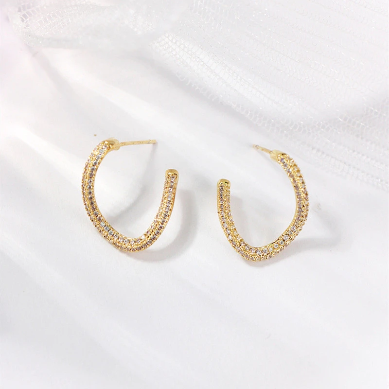Special-interest Design Micro Inlaid Zircon Earrings For Women