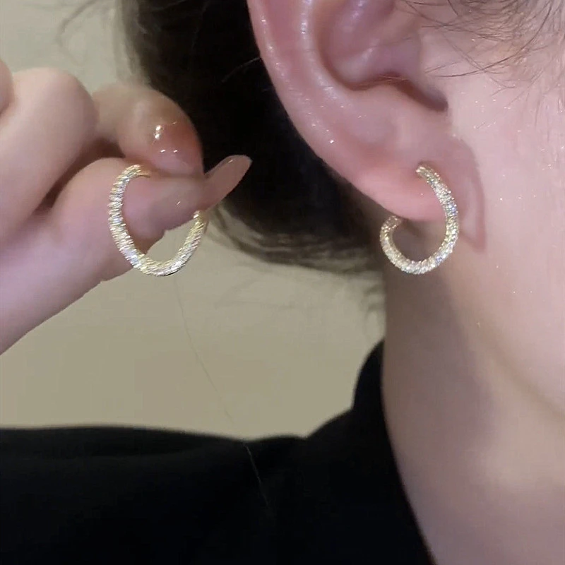 Special-interest Design Micro Inlaid Zircon Earrings For Women
