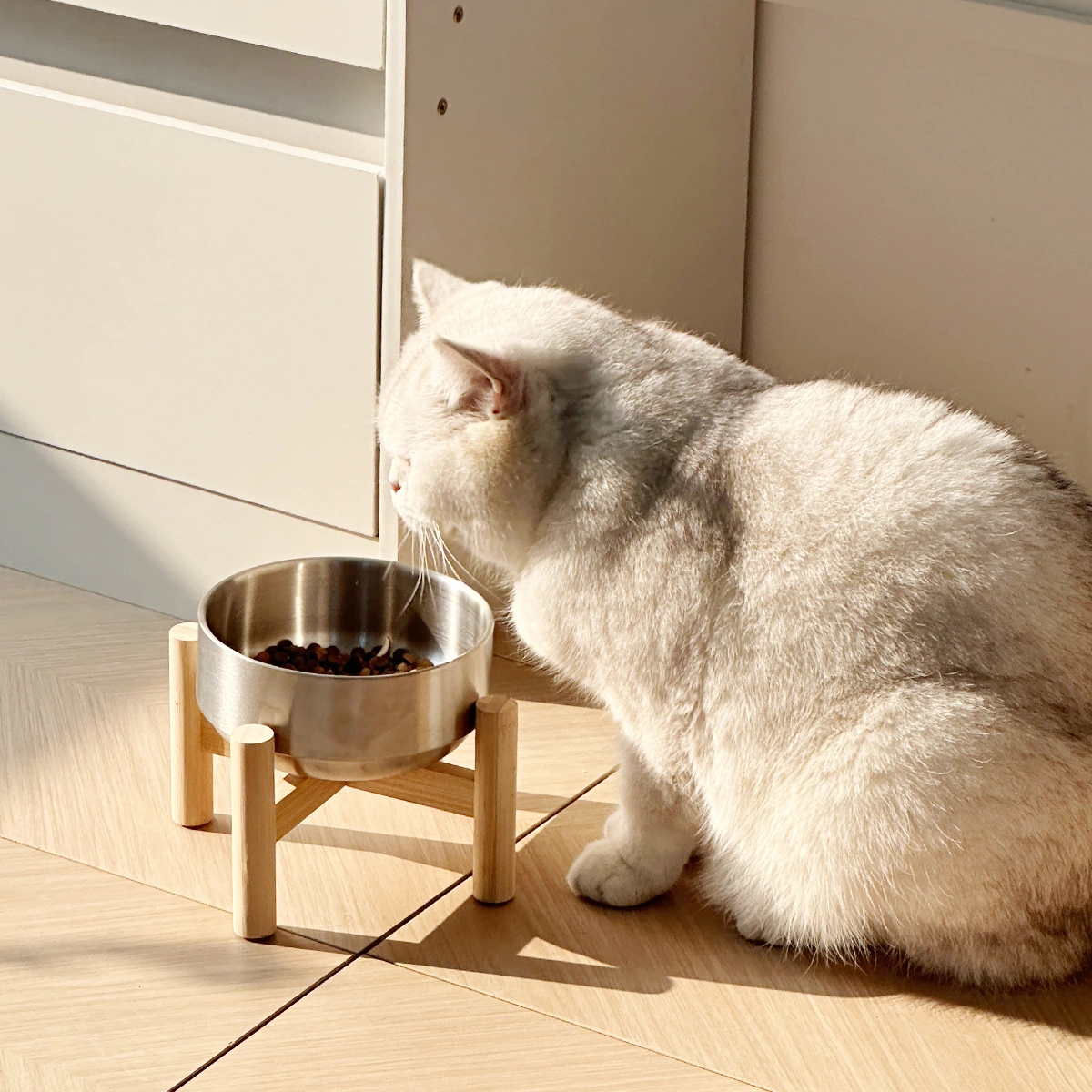 Stainless Steel Cat Bowl On A Raised Wooden Stand To Prevent Tipping