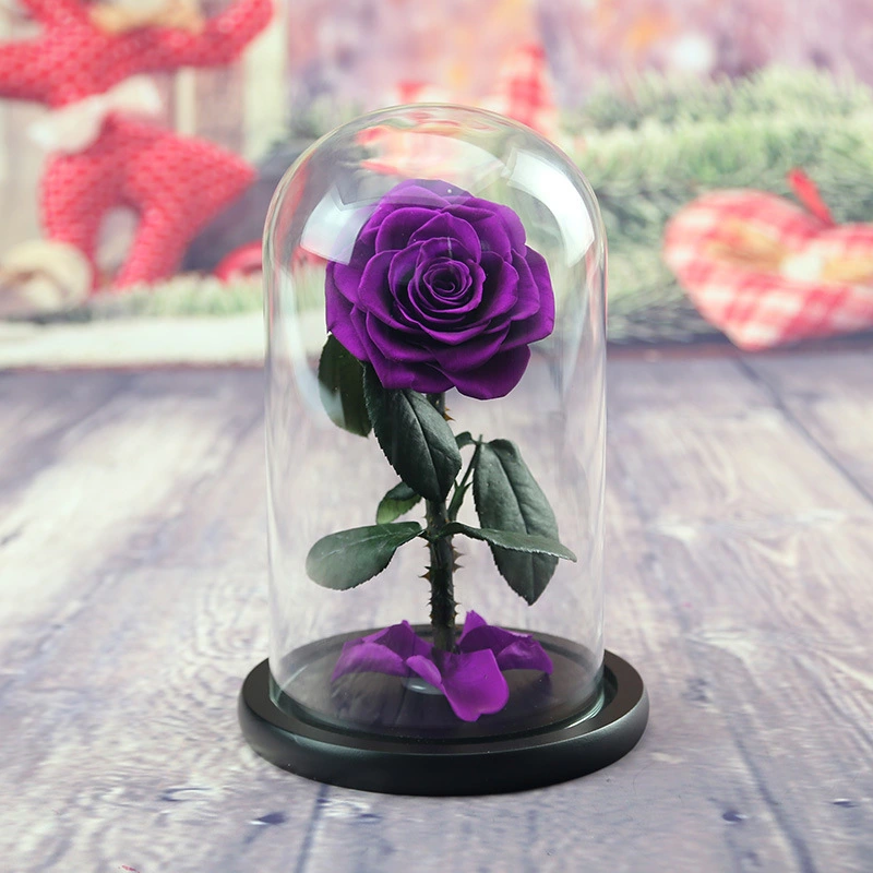 Christmas Valentine's Day Handmade Holiday Gift Box Preserved Flower Little Prince Rose Glass Cover