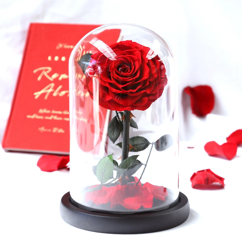 Christmas Valentine's Day Handmade Holiday Gift Box Preserved Flower Little Prince Rose Glass Cover