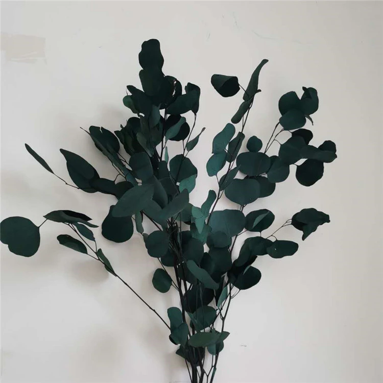 Immortal Leaf Home Decoration Shooting Props