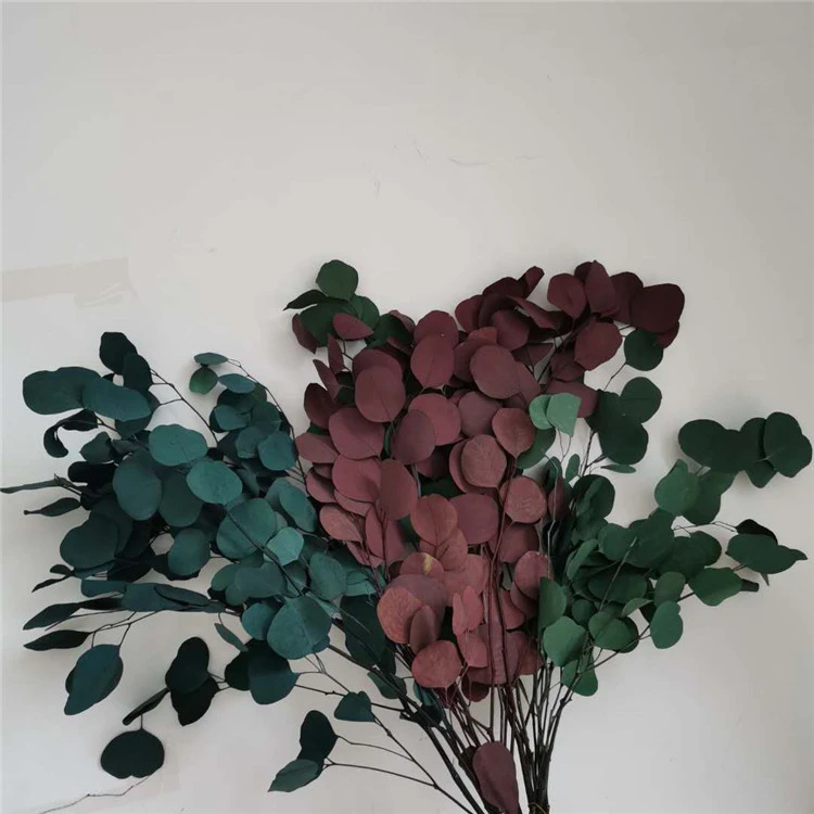 Immortal Leaf Home Decoration Shooting Props
