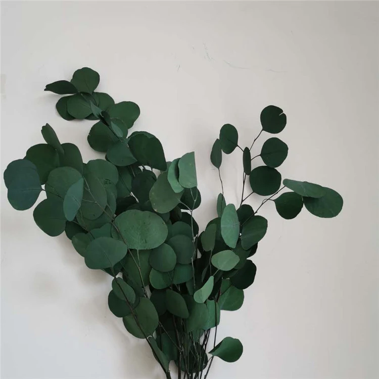 Immortal Leaf Home Decoration Shooting Props
