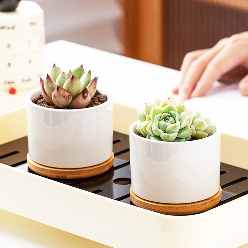 White Porcelain Succulent Pot Modern Home Gardening Ceramic